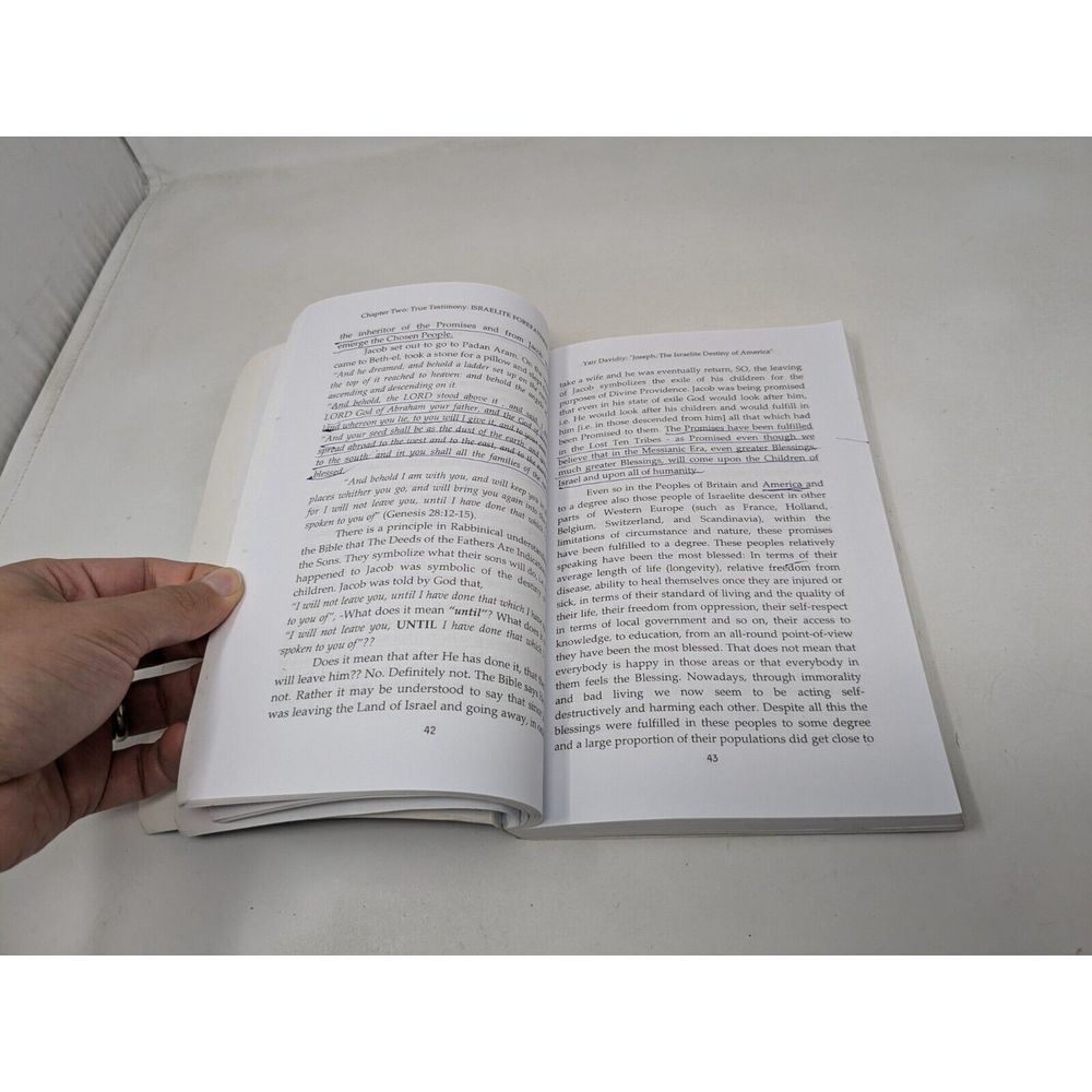 Joseph The Israelite Destiny Of America 2nd Edition 2001 Book Yair Davidi - Picture 13 of 15